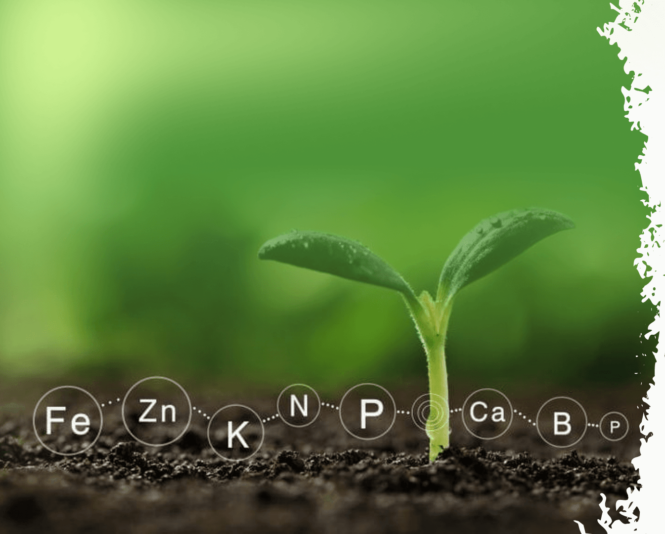 Добро пожаловать обратно